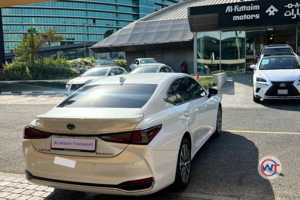 Lexus Sedan Car Back Side